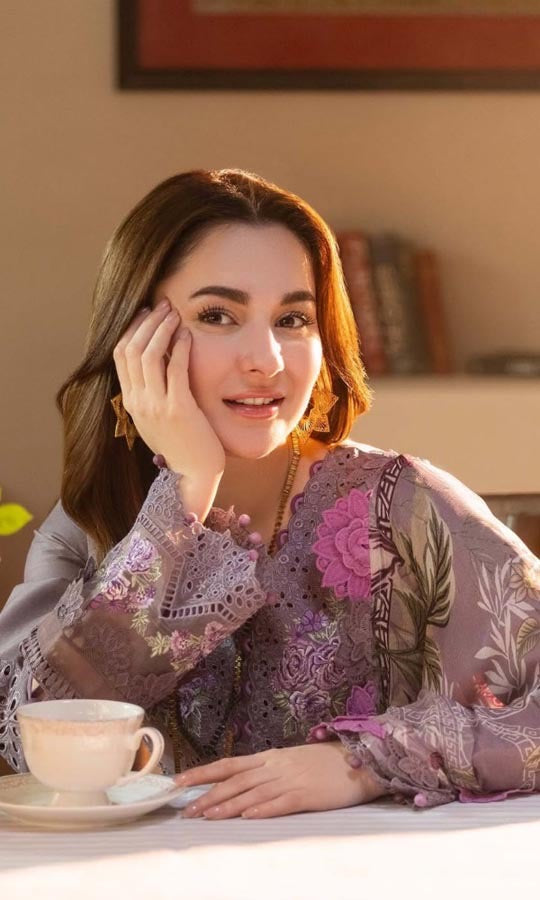 Dhanak 3-Piece Embroidered Dress D-GD 24