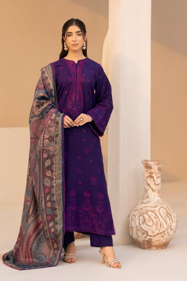 Dhanak 3-Piece Embroidered Dress M-133