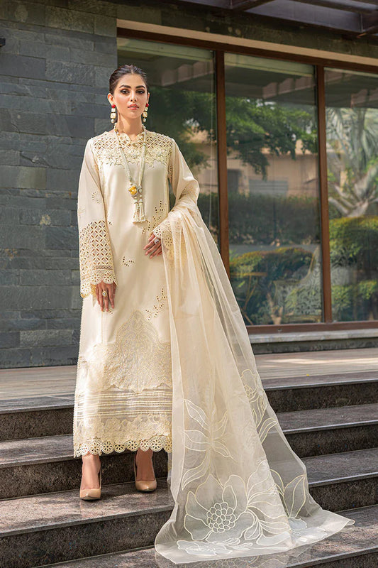 Lawn Dress D- 107