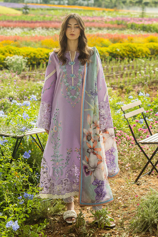 Lawn Dress D- 070