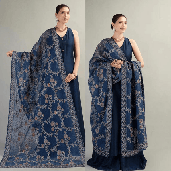 Dhanak 3-Piece Embroidered Dress D-GD T13