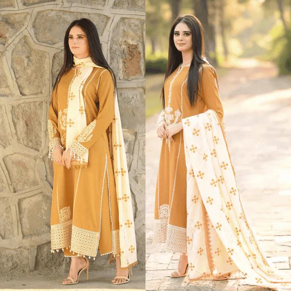 Dhanak 3-Piece Embroidered Dress D-GD T17